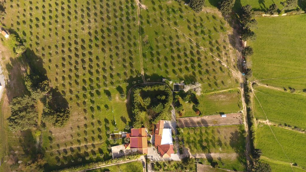 Quinta Santo Antonio Do Rio Villa Celorico Da Beira Exteriör bild